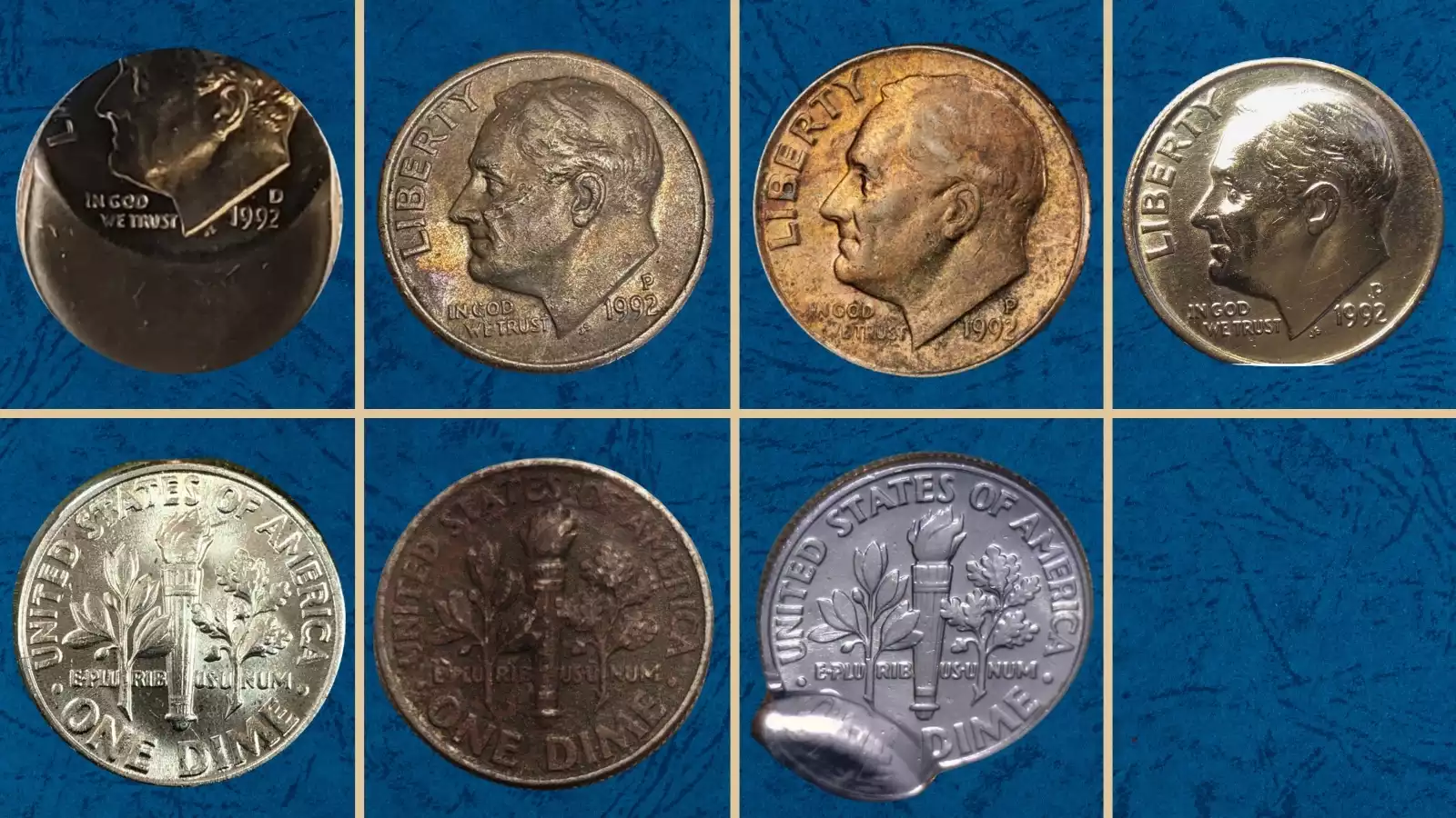 Group of 1992 Roosevelt dimes showing various grades from circulated to uncirculated arranged for comparison